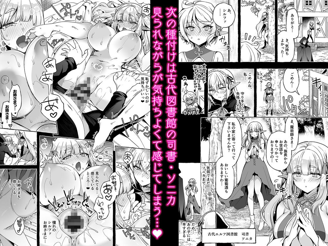 淫紋魔術師のエルフハーレム_003